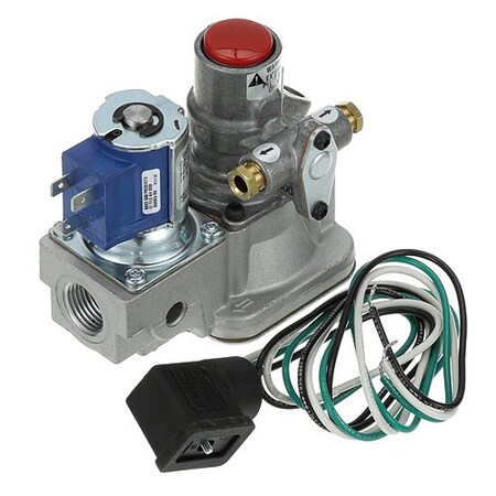 Montague Valve 1/2" 120V 1028-6